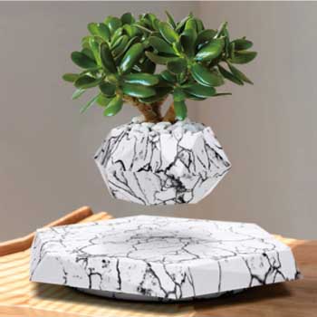 Magnetic Suspension Flowerpot