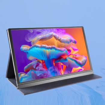 Portable Monitor