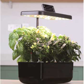 Fill Light Smart Planter