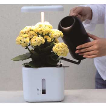 Fill Light Smart Planter