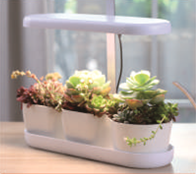 Fill Light Smart Planter