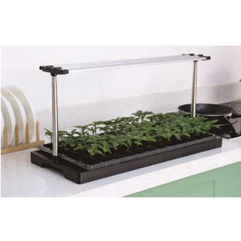 Fill Light Smart Planter