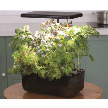 Fill Light Smart Planter