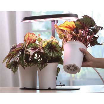 Fill Light Smart Planter