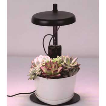 Fill Light Smart Planter