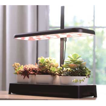 Fill Light Smart Planter