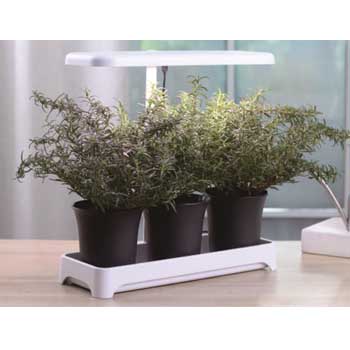 Fill Light Smart Planter