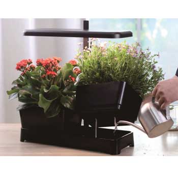 Fill Light Smart Planter