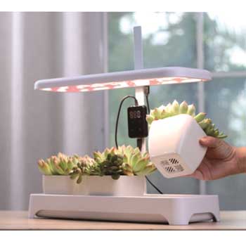 Fill Light Smart Planter