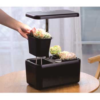 Fill Light Smart Planter