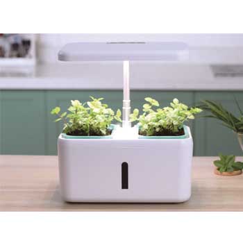 Fill Light Smart Planter